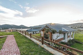 Tolstoy'un Bisikleti Otel