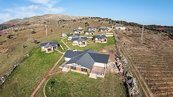 Tolstoy'un Bisikleti Otel