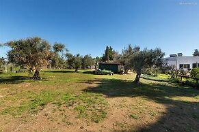 1878 Villa Itaca Garden