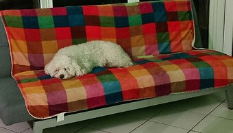 Spacious Home - Sleeps 10 - Free Parking - Pets