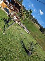 Chalet Grittelihus, Large Bathroom, Lots of Living Space, Nähe Interla
