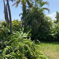 ECO SHARED GARDENIAN