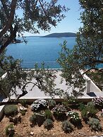 Holiday Rental House