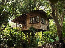 Roots Tree House