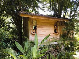 Roots Tree House