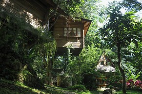 Roots Tree House