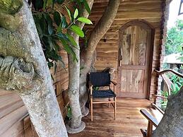 Roots Tree House