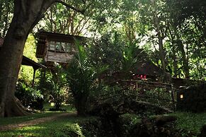 Roots Tree House