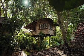 Roots Tree House