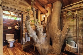 Roots Tree House