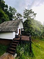 Jungle guest house