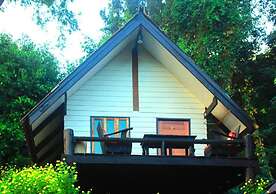 Jungle guest house