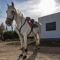 Quinta da Amendoeira - The Farmhouse