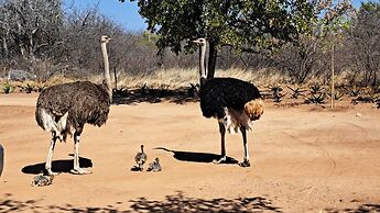 Hambana Lifestyle Lodge