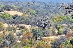 Hambana Lifestyle Lodge