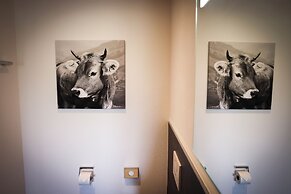 Platzhirsch First Class Living