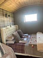 Cute and Cosy Shepard hut With Wood Fuel hot tub