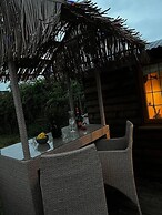 Cute and Cosy Shepard hut With Wood Fuel hot tub
