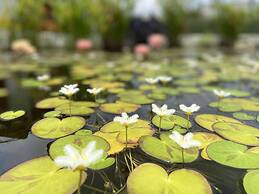 Villarreal Lodge Hotel & Porta Coeli