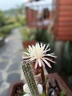 Villarreal Lodge Hotel & Porta Coeli