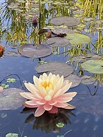 Villarreal Lodge Hotel & Porta Coeli