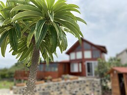 Villarreal Lodge Hotel & Porta Coeli