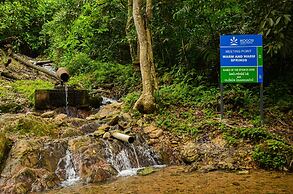 Ikogosi Warm Springs Resort