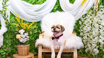 Taean Withdog Aegyeonspa Poolvilla