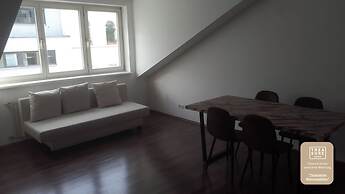 Cityhit 1020 Treasure HomeTop 23