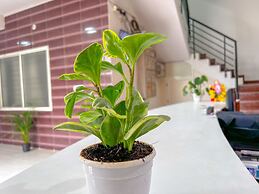 Hotel Elite by Agira