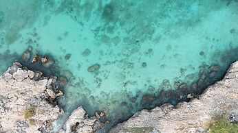 Le Vent Eagle Beach 2BR 2 5BA - Amazing Amenities