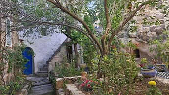 Dancing Cloud Art Pansion