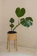 Bright Studio Szczuczyńska by Renters