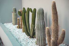 Eden's Athens - Sunset Retreat