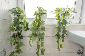 First Hostel Bucur 21