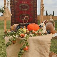 Burki Castle & Cellar