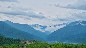Burki Castle & Cellar