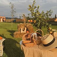 Burki Castle & Cellar