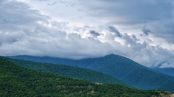 Burki Castle & Cellar