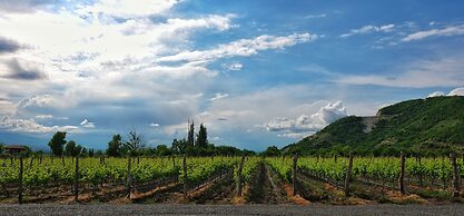 Burki Castle & Cellar