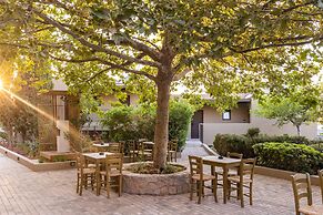 Elios Hill - Sun Kissed Happiness