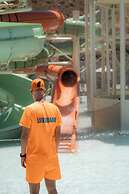 Elios Hill - Sun Kissed Happiness