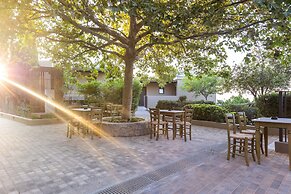 Elios Hill - Sun Kissed Happiness