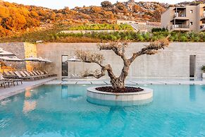 Elios Hill - Sun Kissed Happiness