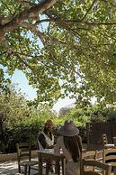 Elios Hill - Sun Kissed Happiness