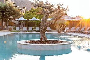 Elios Hill - Sun Kissed Happiness