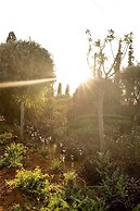 Elios Hill - Sun Kissed Happiness