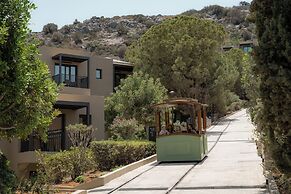 Elios Hill - Sun Kissed Happiness