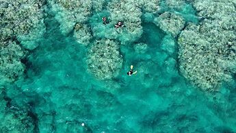 South Pacific Memories