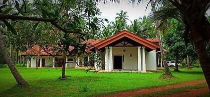 Coco Villa Peach Tree